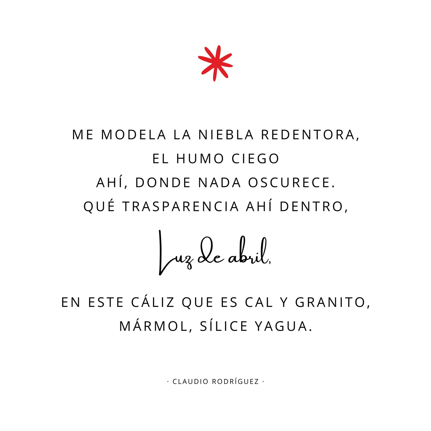 #10 Luz de abril