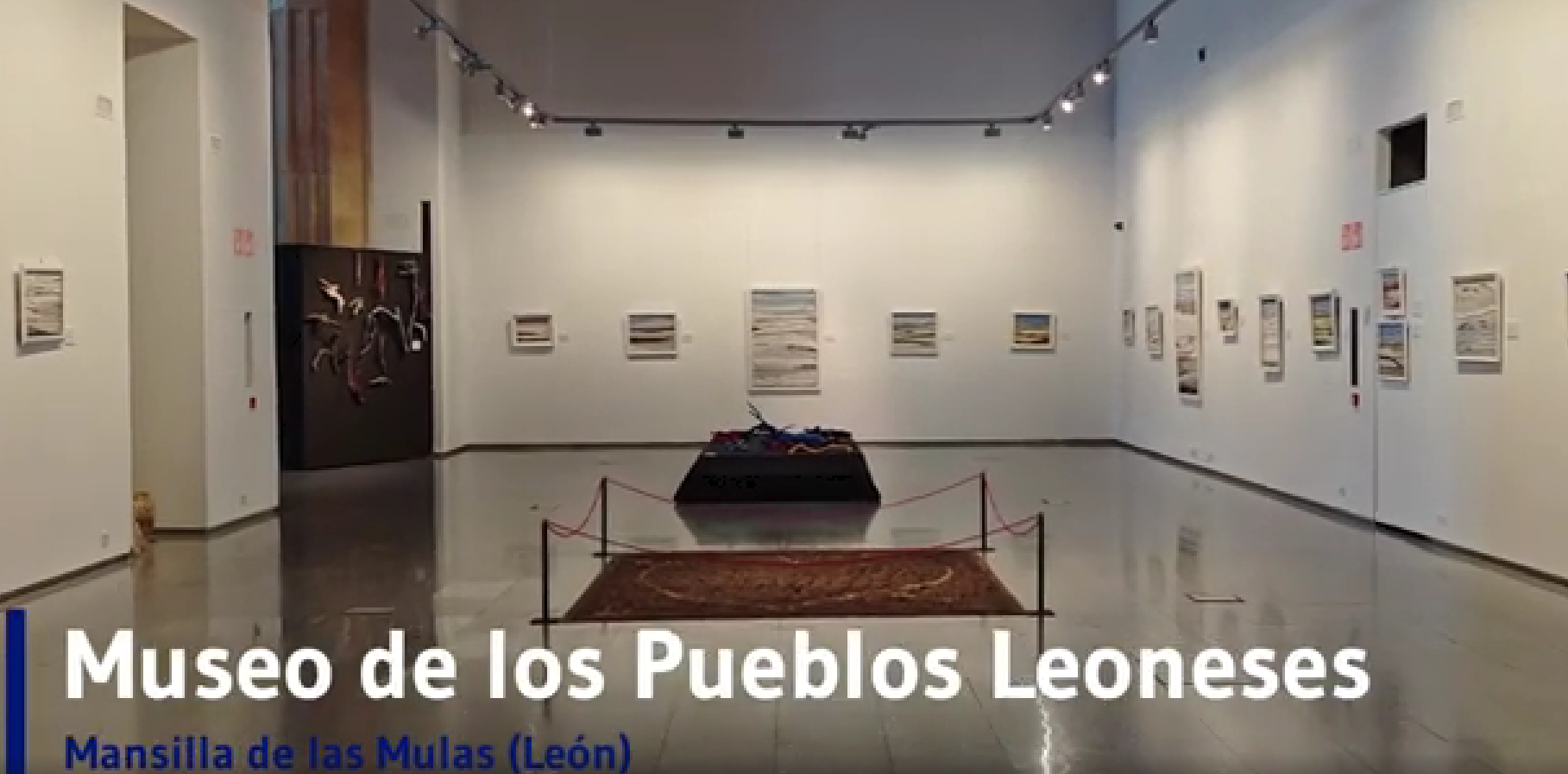 Cargar video: 